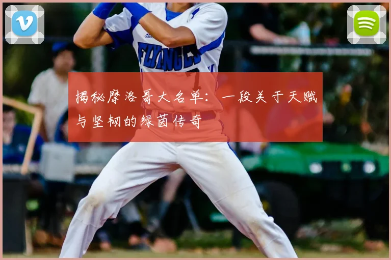 揭秘摩洛哥大名单：一段关于天赋与坚韧的绿茵传奇