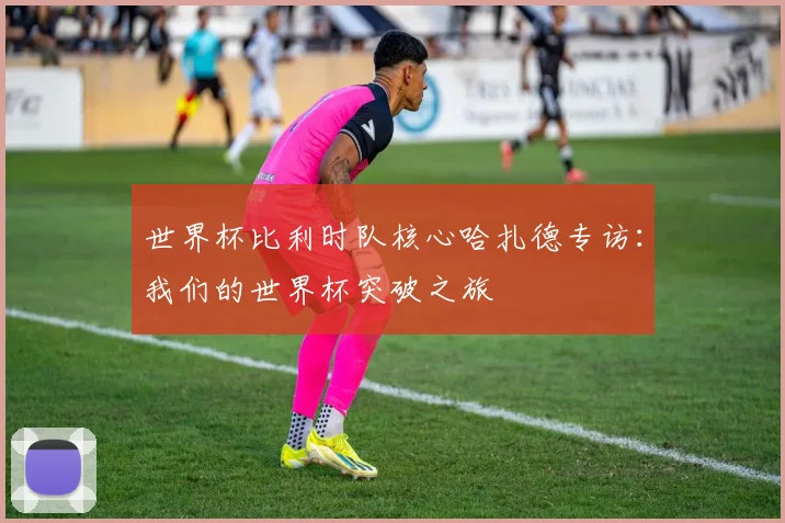 世界杯比利时队核心哈扎德专访：我们的世界杯突破之旅