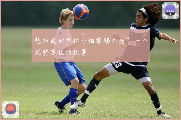 想知道世界杯小组赛踢几轮？一个完整赛程的故事
