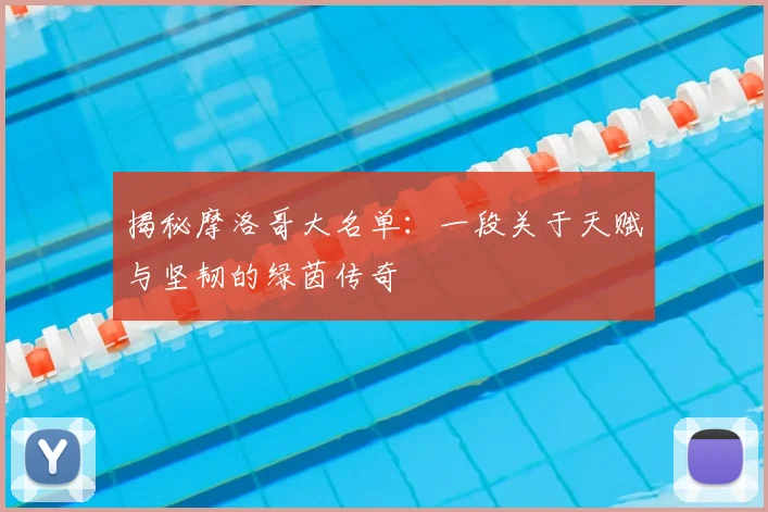揭秘摩洛哥大名单：一段关于天赋与坚韧的绿茵传奇